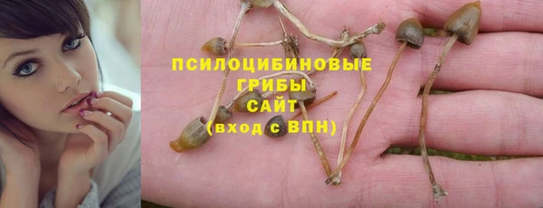 марки nbome Бородино